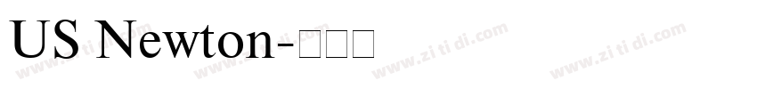 US Newton字体转换